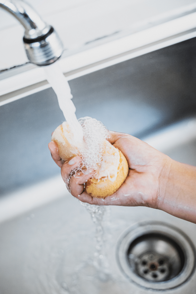 Sponge being cleaned